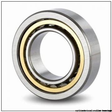 75 mm x 160 mm x 55 mm  NKE NJ2315-E-M6 cylindrical roller bearings