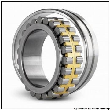 220 mm x 340 mm x 160 mm  IKO NAS 5044ZZNR cylindrical roller bearings