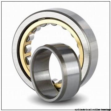 45 mm x 120 mm x 29 mm  FBJ NUP409 cylindrical roller bearings