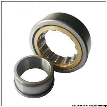 240 mm x 440 mm x 120 mm  NSK NU2248 cylindrical roller bearings