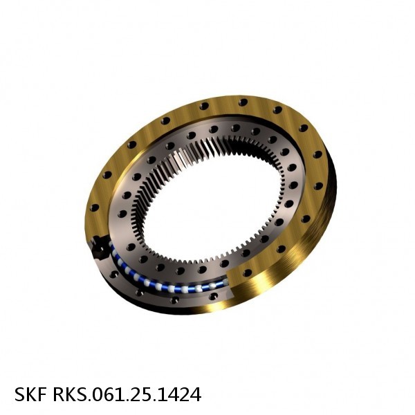 RKS.061.25.1424 SKF Slewing Ring Bearings