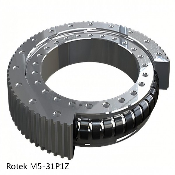 M5-31P1Z Rotek Slewing Ring Bearings