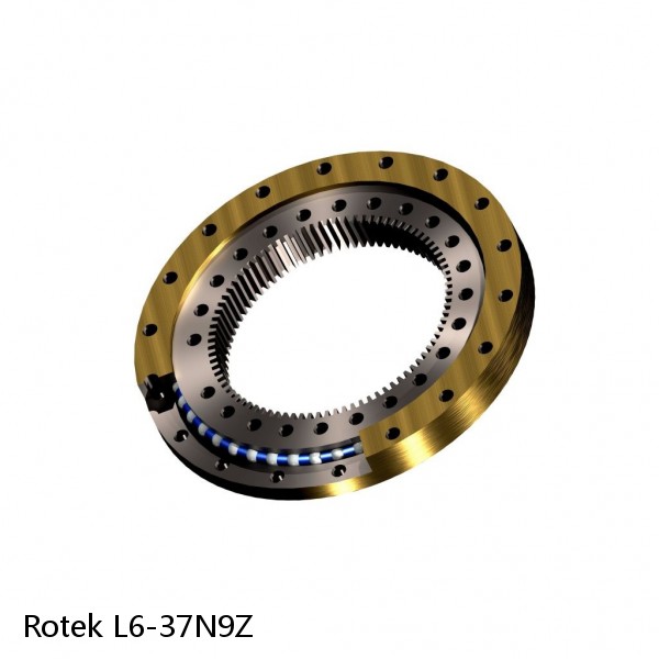 L6-37N9Z Rotek Slewing Ring Bearings