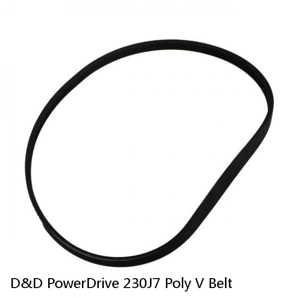 D&D PowerDrive 230J7 Poly V Belt