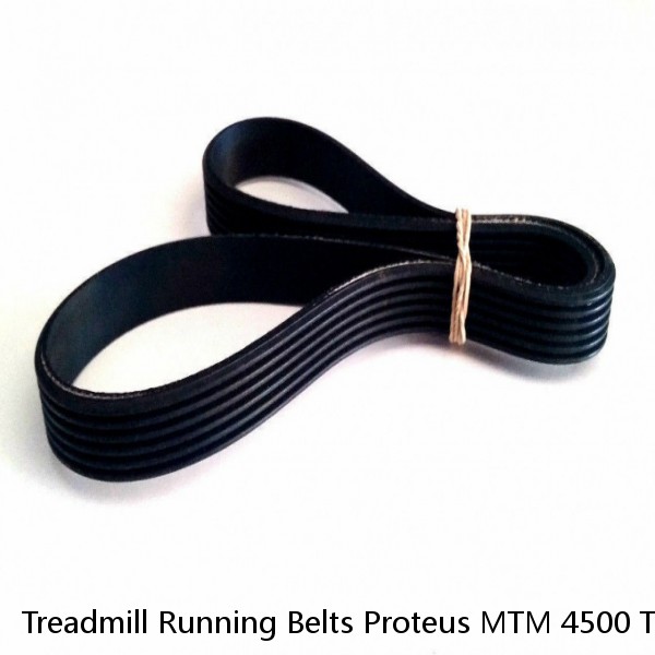 Treadmill Running Belts Proteus MTM 4500 Treadmill Belt 