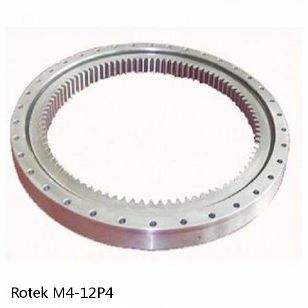 M4-12P4 Rotek Slewing Ring Bearings