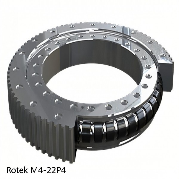 M4-22P4 Rotek Slewing Ring Bearings