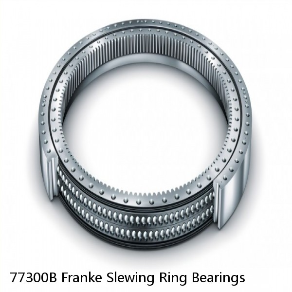 77300B Franke Slewing Ring Bearings