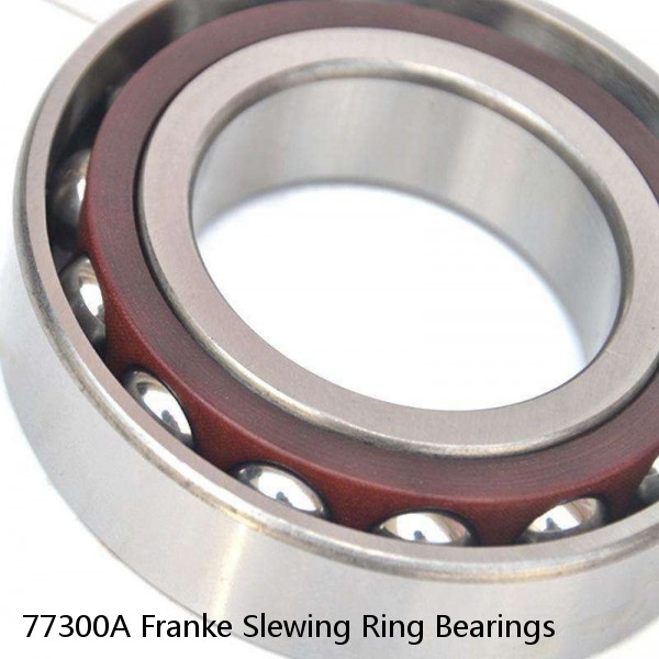 77300A Franke Slewing Ring Bearings