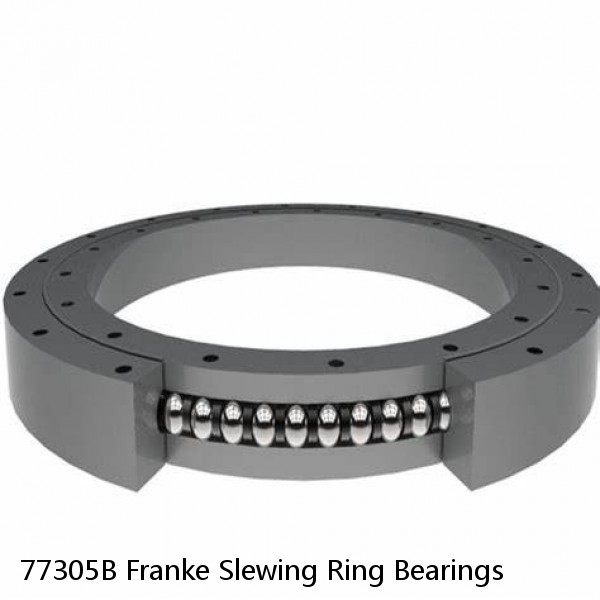 77305B Franke Slewing Ring Bearings