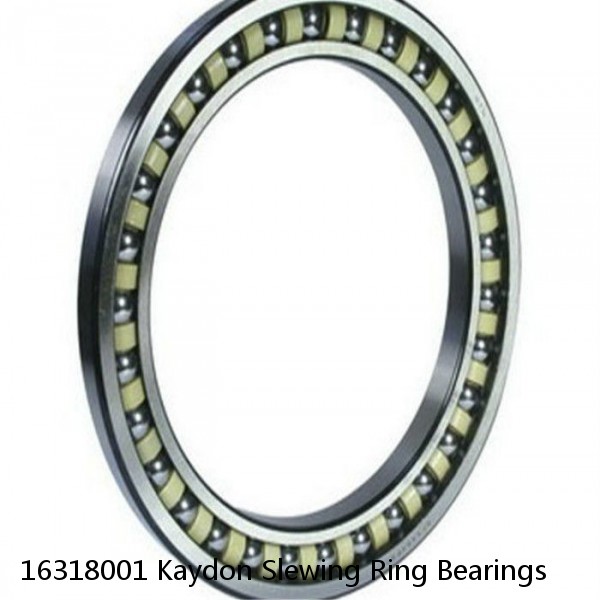 16318001 Kaydon Slewing Ring Bearings