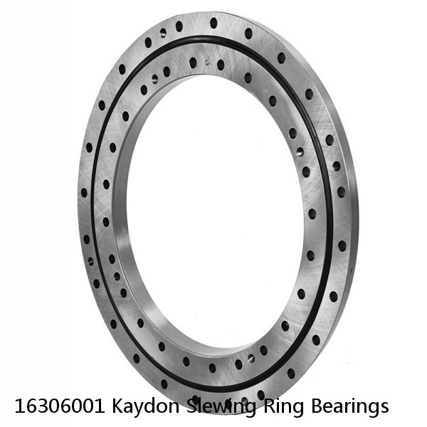 16306001 Kaydon Slewing Ring Bearings