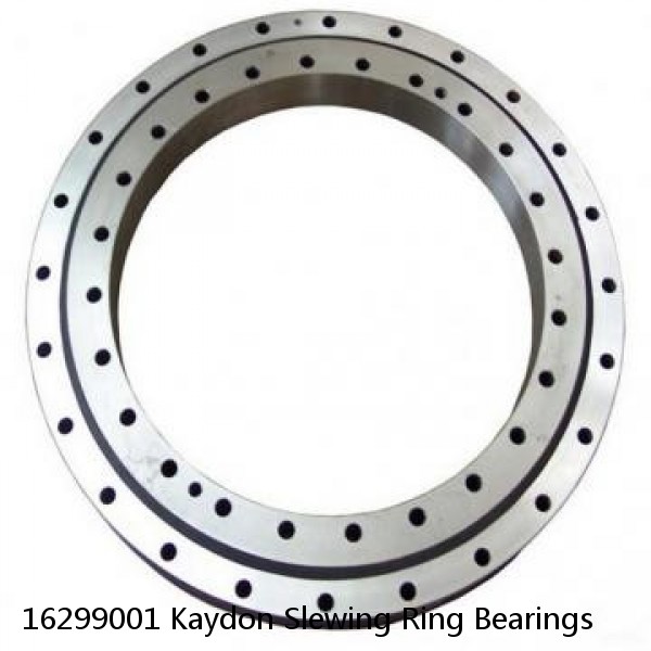 16299001 Kaydon Slewing Ring Bearings