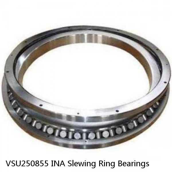 VSU250855 INA Slewing Ring Bearings