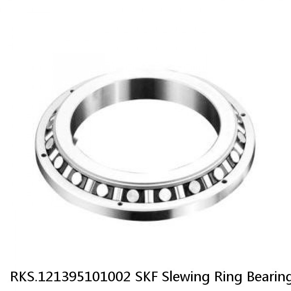 RKS.121395101002 SKF Slewing Ring Bearings