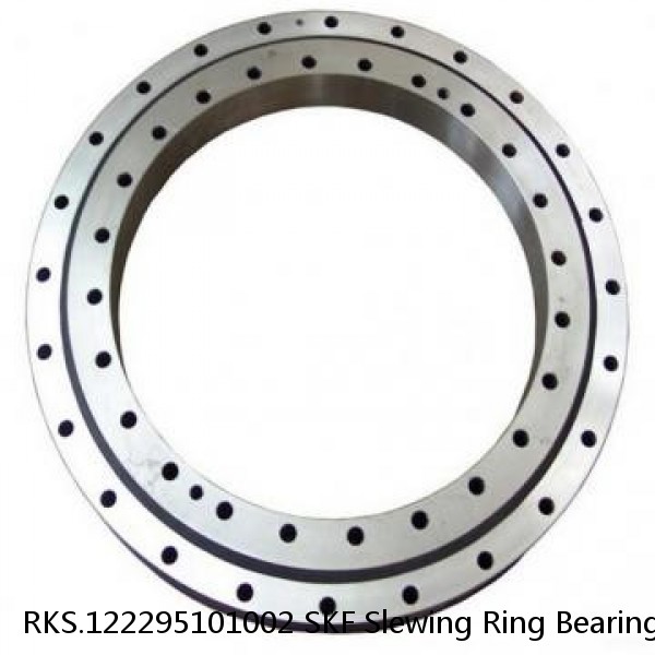 RKS.122295101002 SKF Slewing Ring Bearings