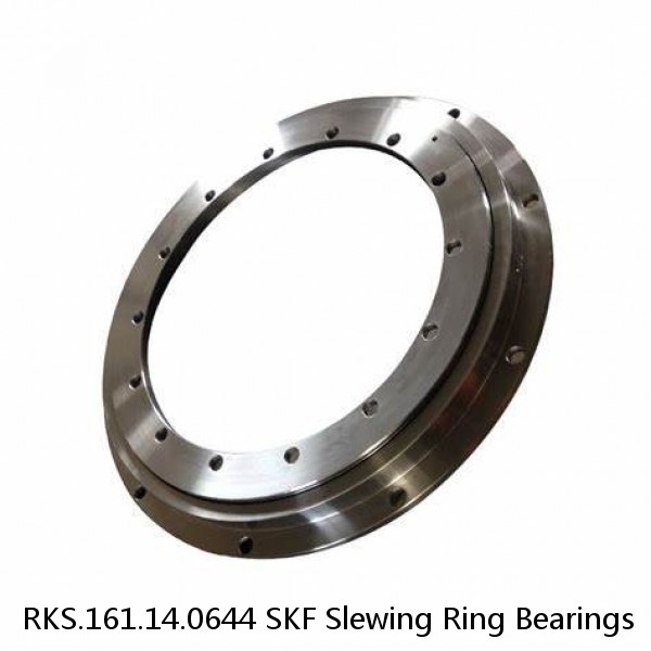 RKS.161.14.0644 SKF Slewing Ring Bearings