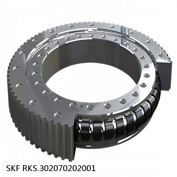 RKS.302070202001 SKF Slewing Ring Bearings