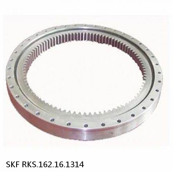 RKS.162.16.1314 SKF Slewing Ring Bearings