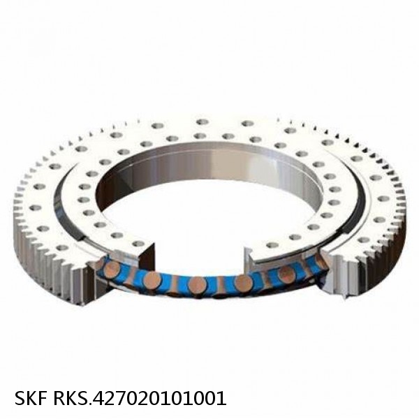 RKS.427020101001 SKF Slewing Ring Bearings