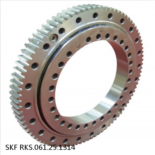 RKS.061.25.1314 SKF Slewing Ring Bearings