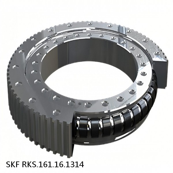 RKS.161.16.1314 SKF Slewing Ring Bearings