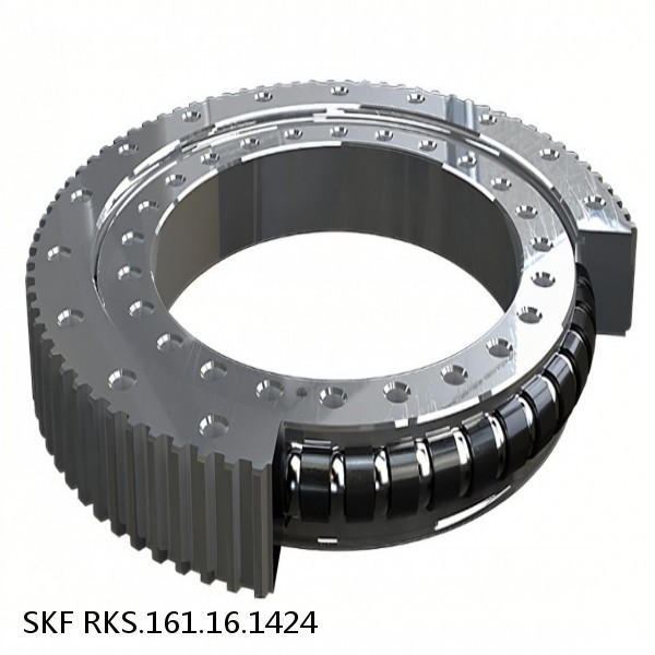 RKS.161.16.1424 SKF Slewing Ring Bearings