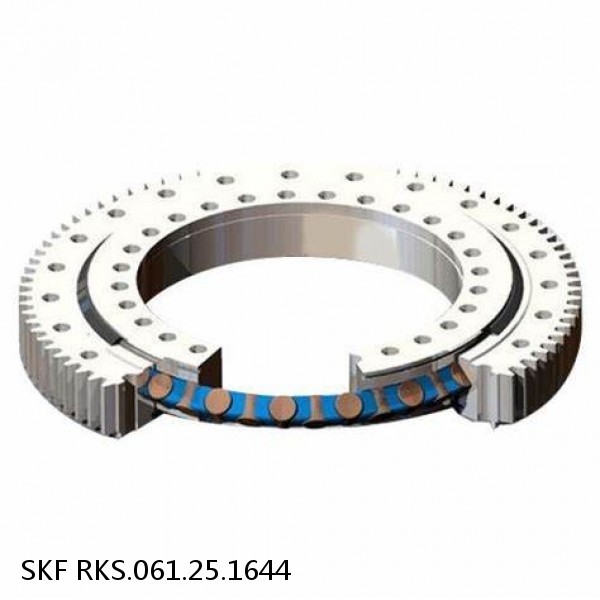 RKS.061.25.1644 SKF Slewing Ring Bearings