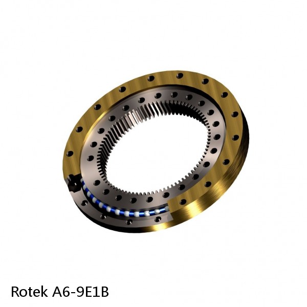 A6-9E1B Rotek Slewing Ring Bearings