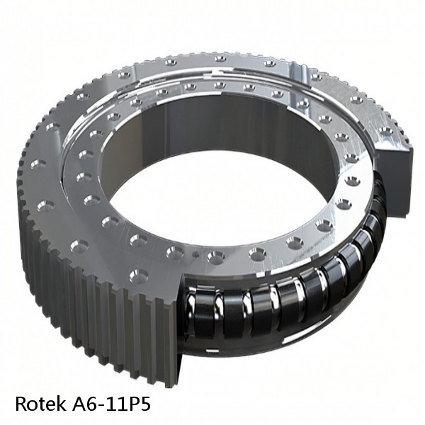 A6-11P5 Rotek Slewing Ring Bearings