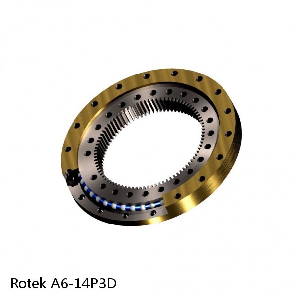 A6-14P3D Rotek Slewing Ring Bearings