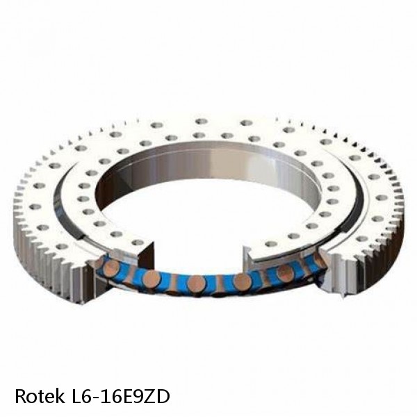 L6-16E9ZD Rotek Slewing Ring Bearings