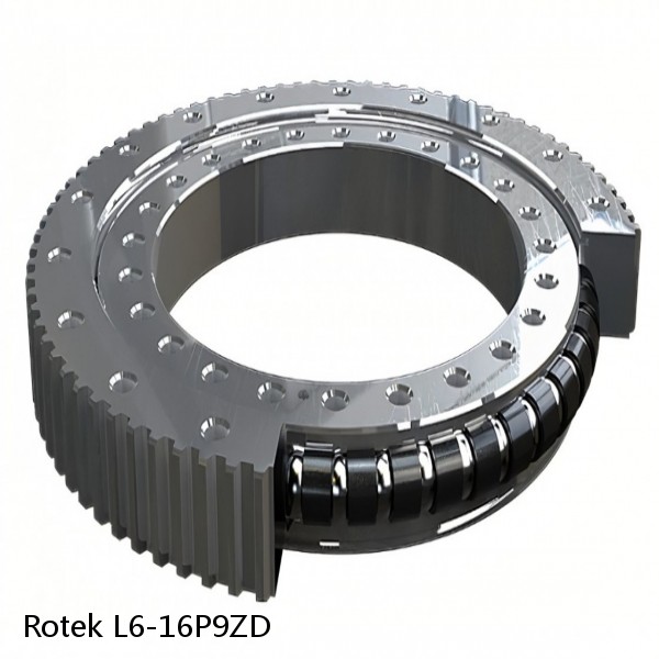 L6-16P9ZD Rotek Slewing Ring Bearings