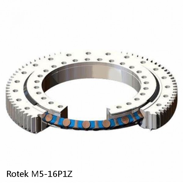 M5-16P1Z Rotek Slewing Ring Bearings