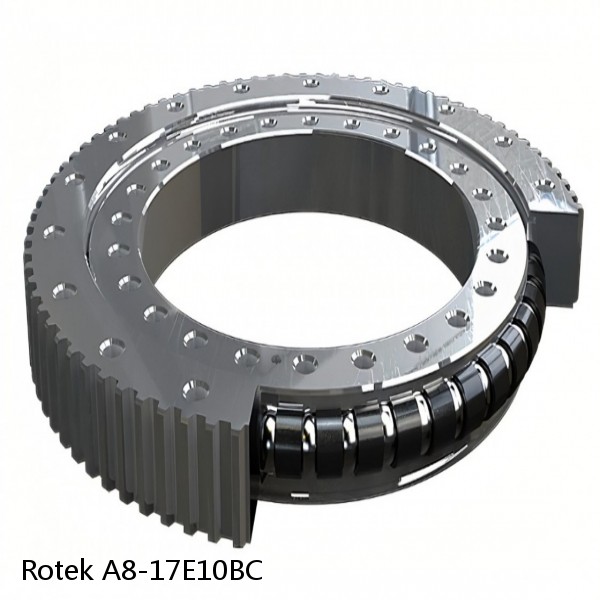 A8-17E10BC Rotek Slewing Ring Bearings