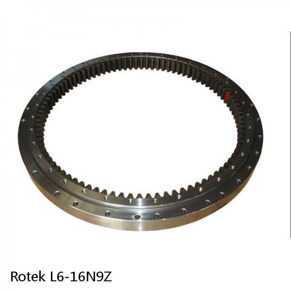 L6-16N9Z Rotek Slewing Ring Bearings