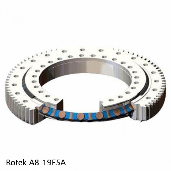 A8-19E5A Rotek Slewing Ring Bearings