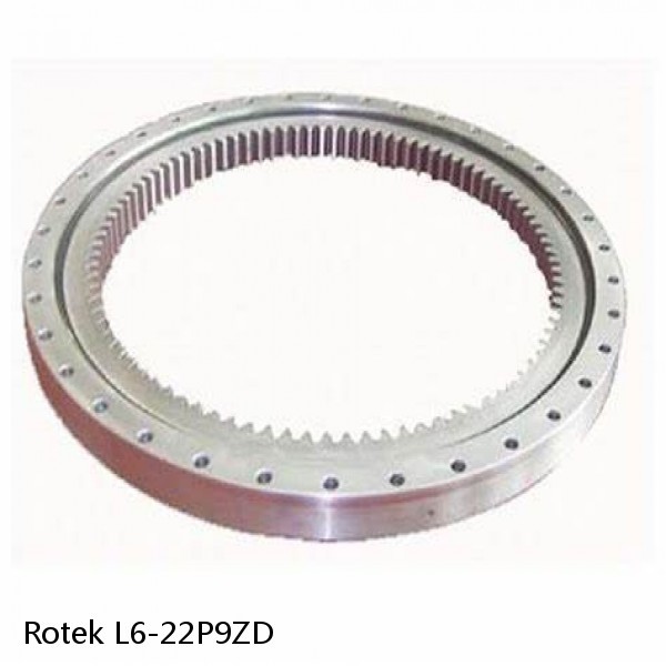 L6-22P9ZD Rotek Slewing Ring Bearings