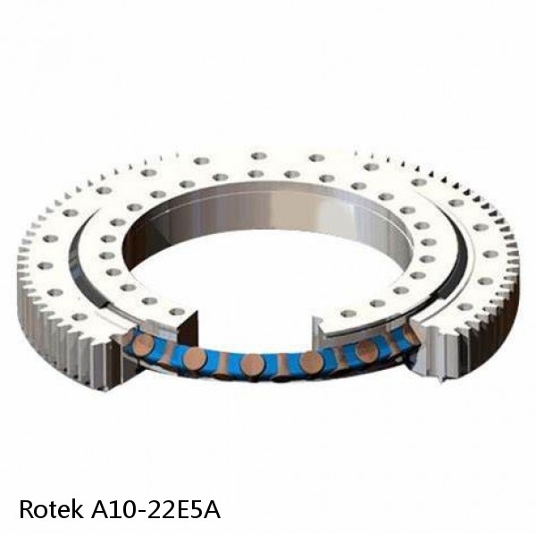 A10-22E5A Rotek Slewing Ring Bearings