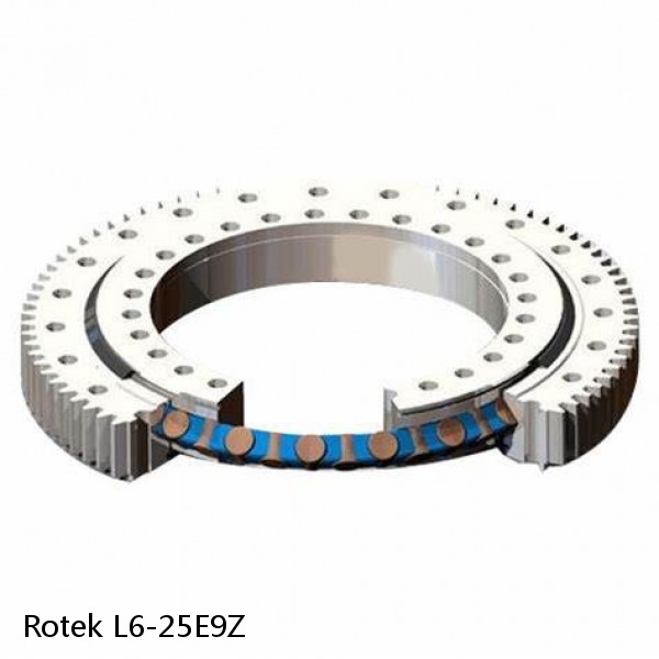 L6-25E9Z Rotek Slewing Ring Bearings