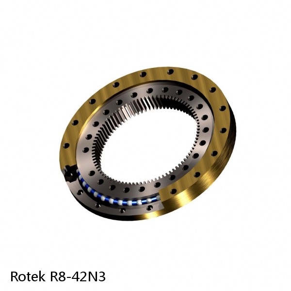 R8-42N3 Rotek Slewing Ring Bearings