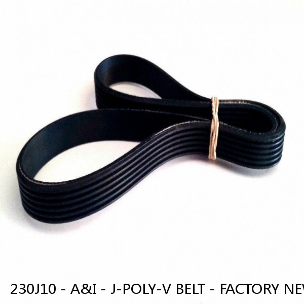 230J10 - A&I - J-POLY-V BELT - FACTORY NEW